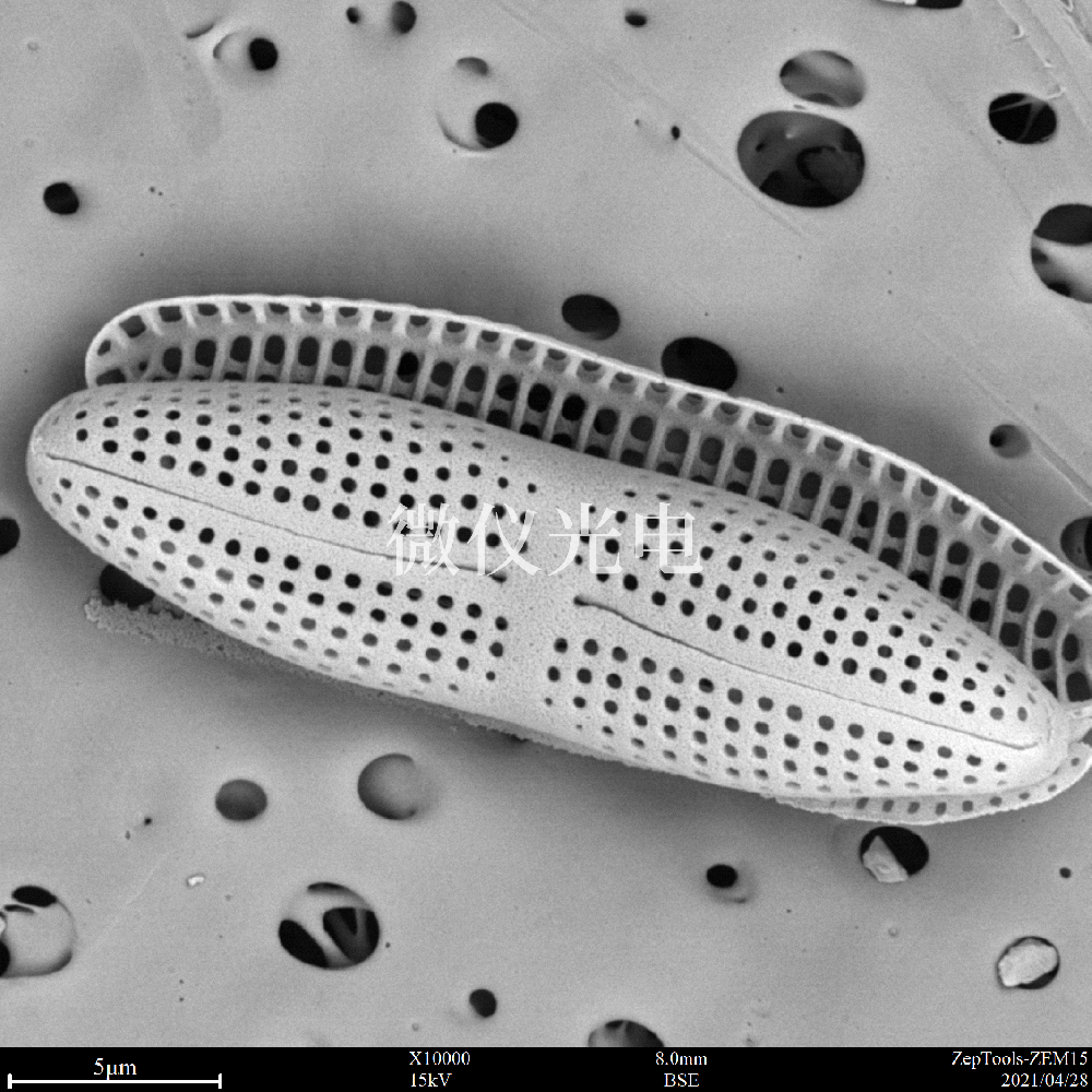 sem臺式掃描電鏡在司法鑒定行業(yè)的應用是這樣的，你之前了解嗎？